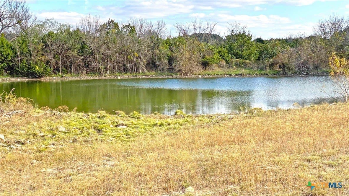 123.19 acres in Coryell County - photo 17
