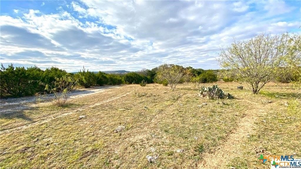 123.19 acres in Coryell County - photo 23
