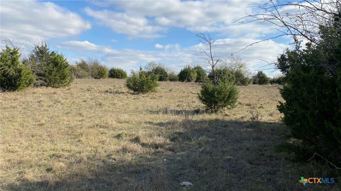123.19 acres in Coryell County - photo 31