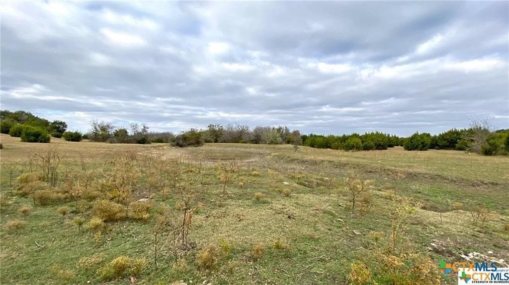 123.19 acres in Coryell County - photo 6