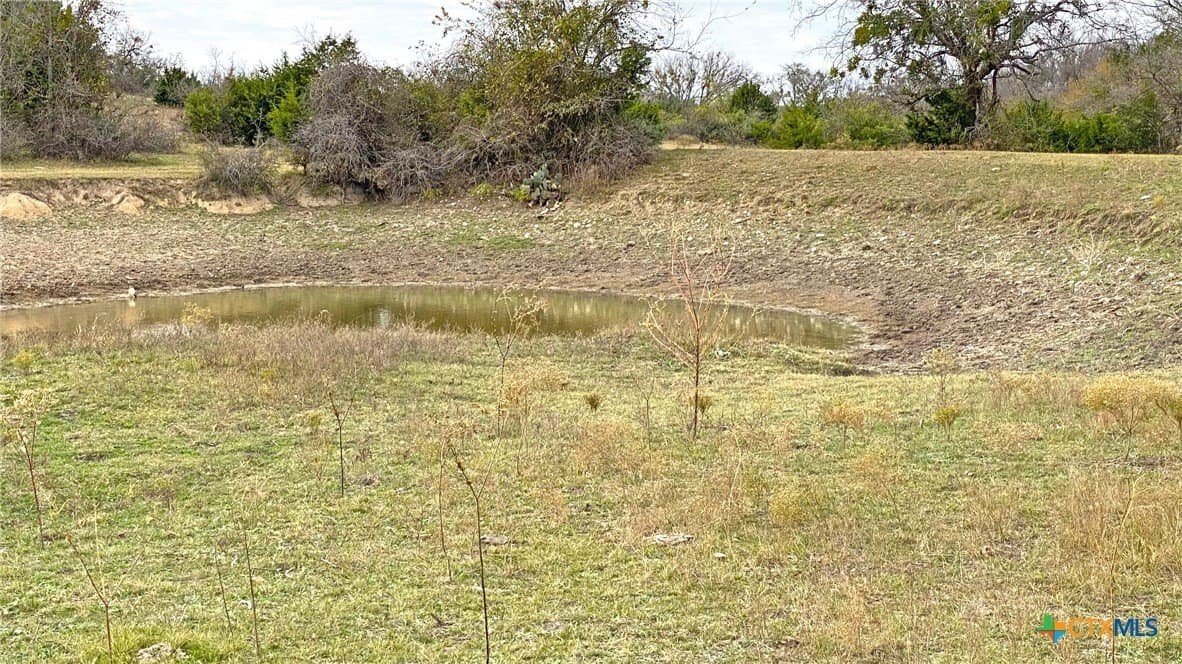 123.19 acres in Coryell County - photo 7