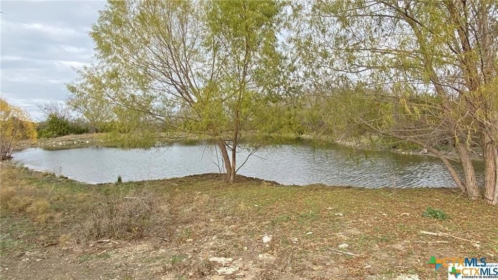 123.19 acres in Coryell County gallery image 2