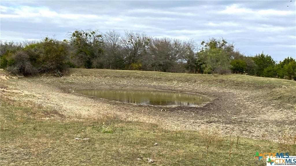 123.19 acres in Coryell County gallery image 4