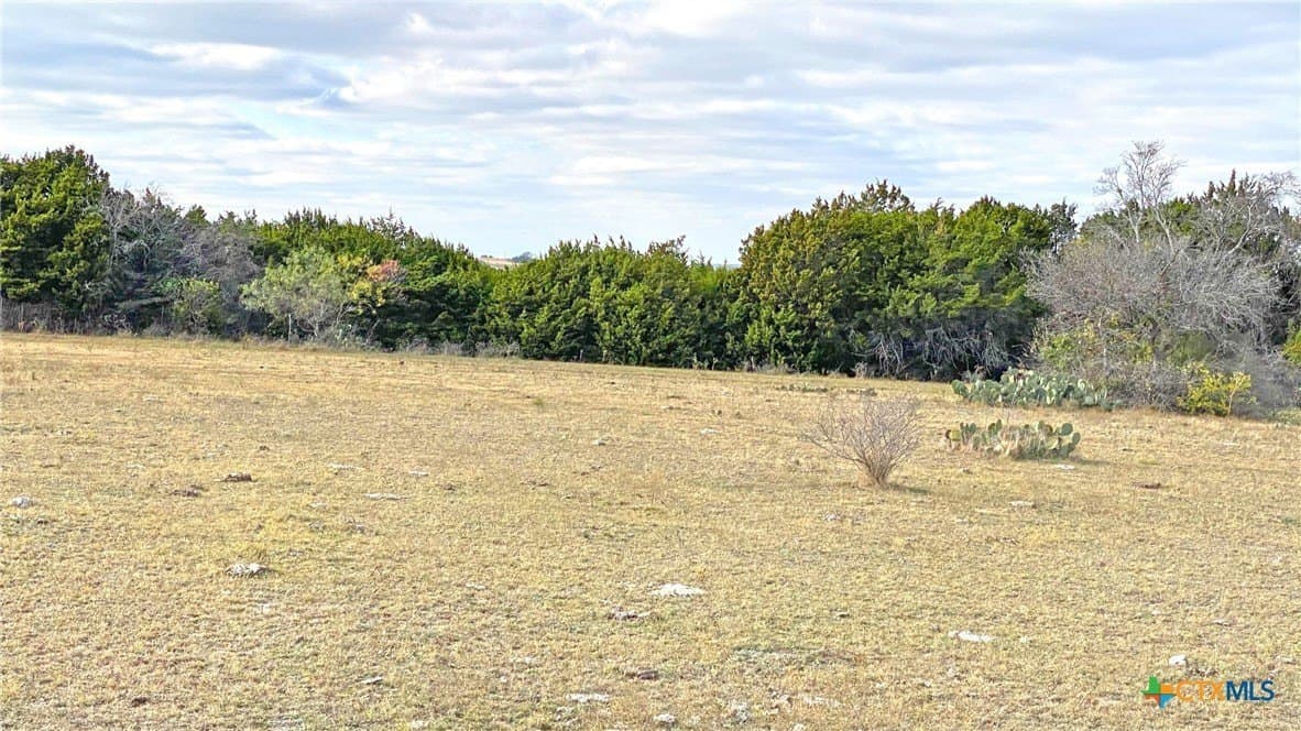 123.19 acres in Coryell County - photo 13
