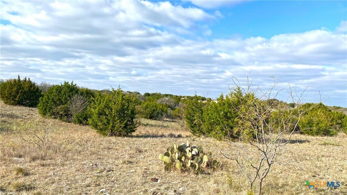 123.19 acres in Coryell County - photo 26