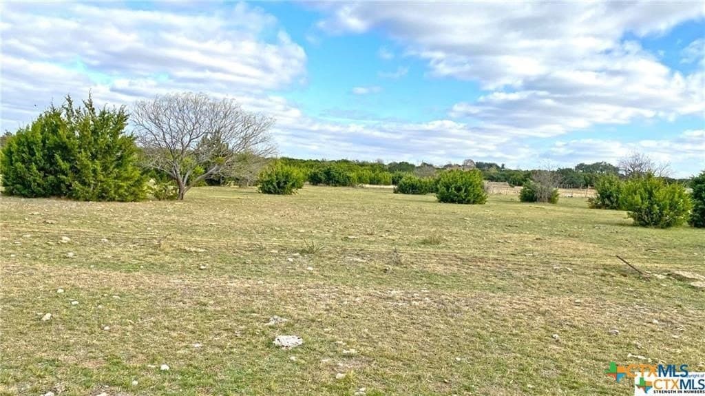 123.19 acres in Coryell County - photo 12