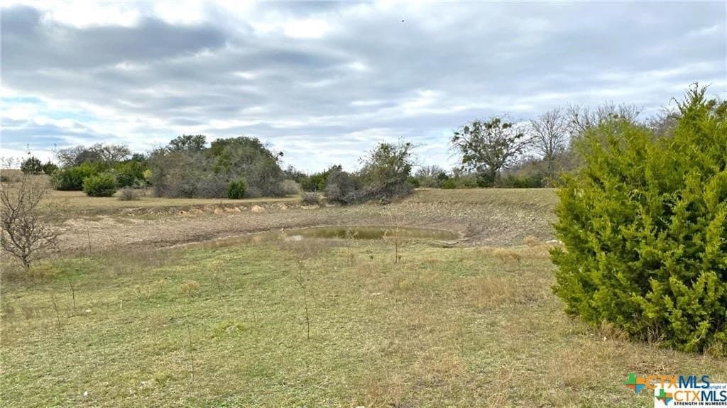 123.19 acres in Coryell County - photo 10