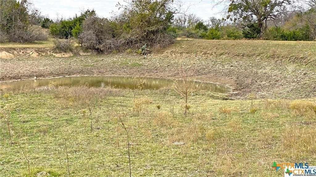 123.19 acres in Coryell County - photo 8