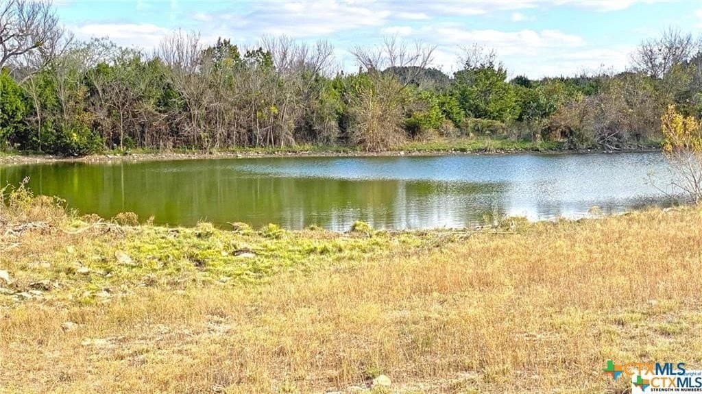 123.19 acres in Coryell County - photo 16