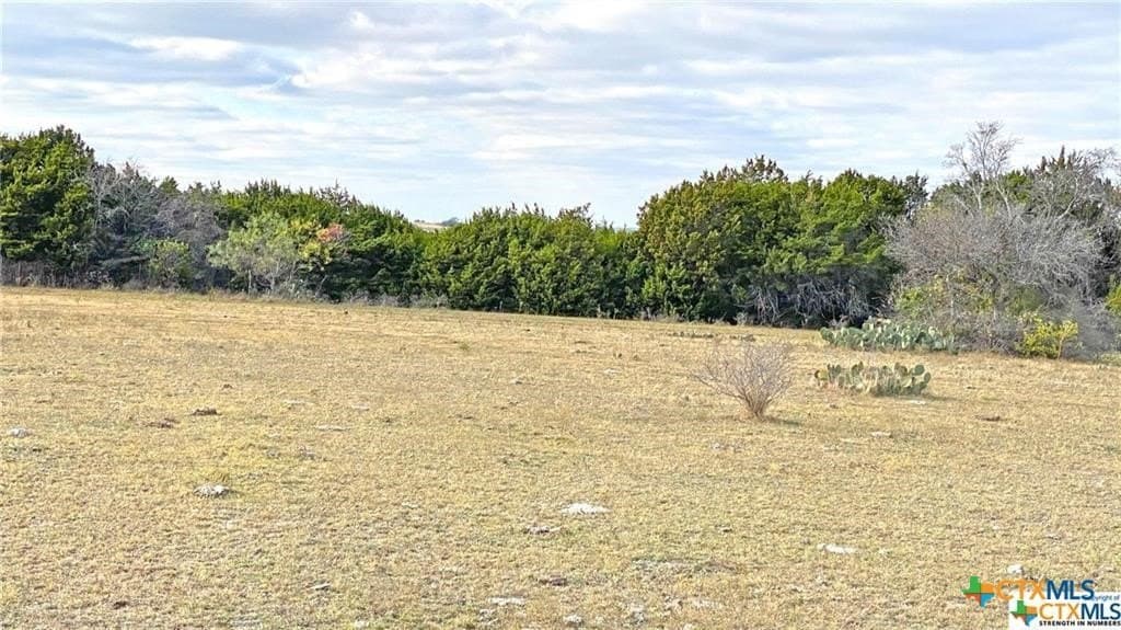 123.19 acres in Coryell County - photo 14
