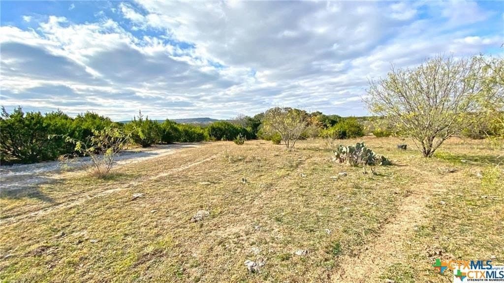 123.19 acres in Coryell County - photo 25
