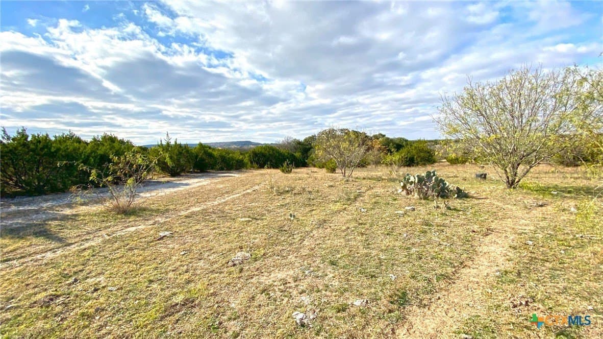 123.19 acres in Coryell County - photo 22