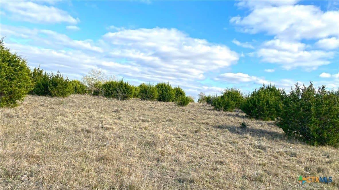 123.19 acres in Coryell County - photo 32