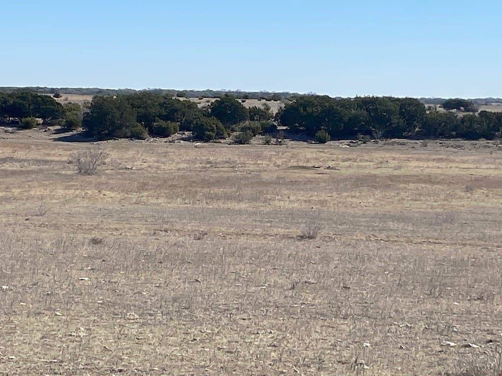 80 acres in Williamson County gallery image 2