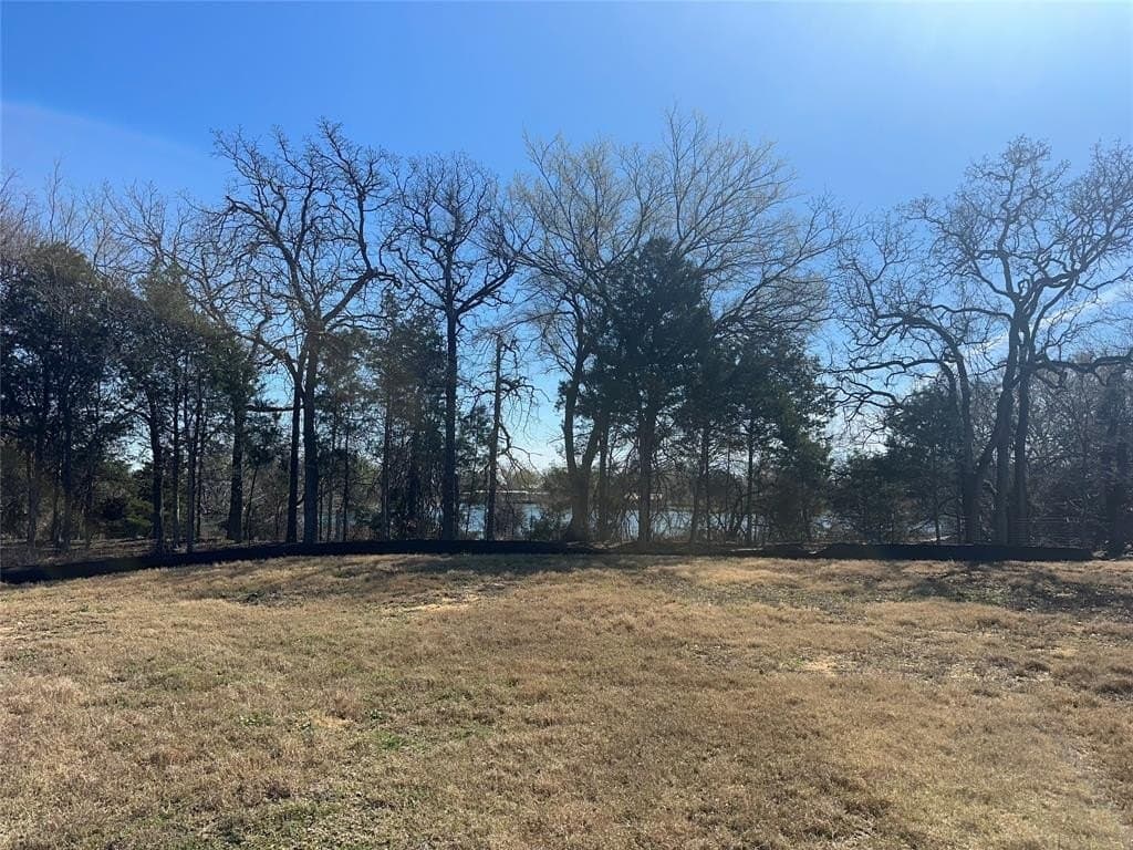 0.47 acres in Dallas County gallery image 4