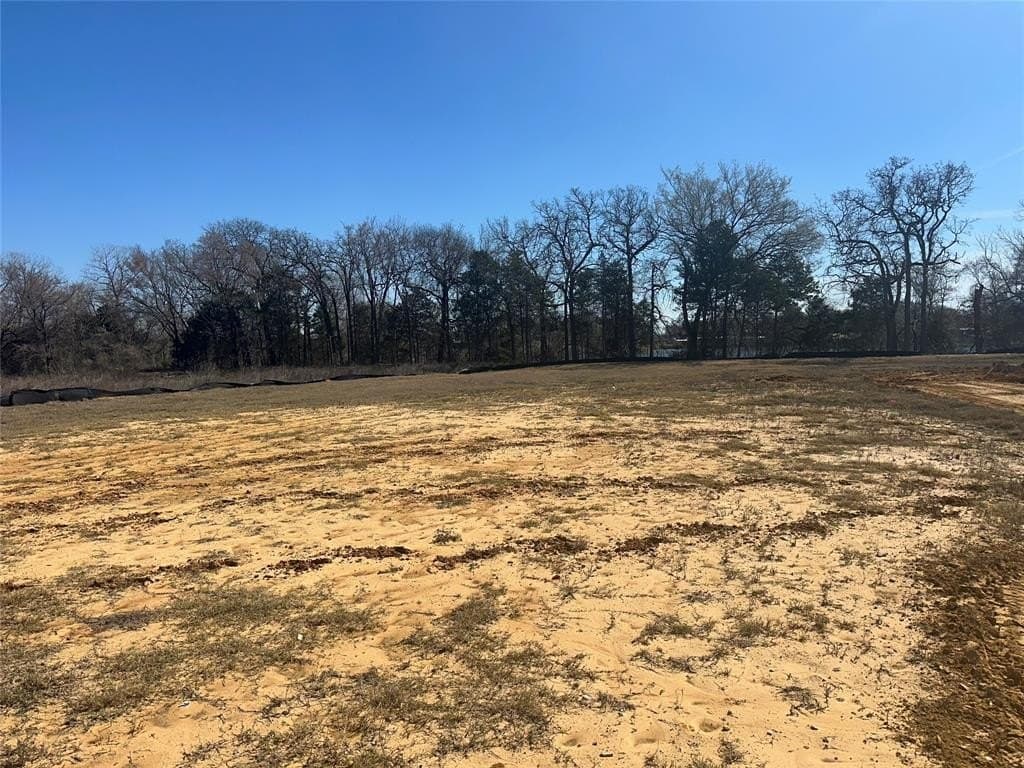 0.47 acres in Dallas County gallery image 3