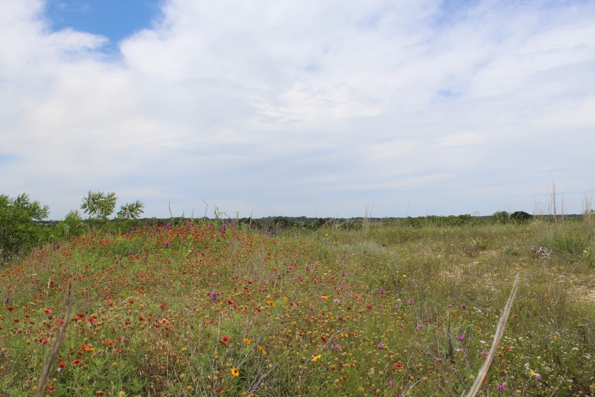 6.39 acres in Comanche County featured view
