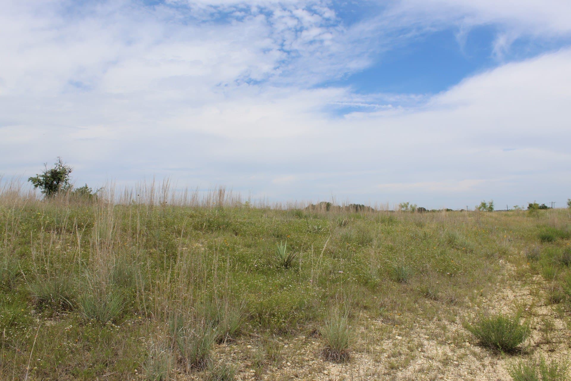 6.39 acres in Comanche County - photo 9