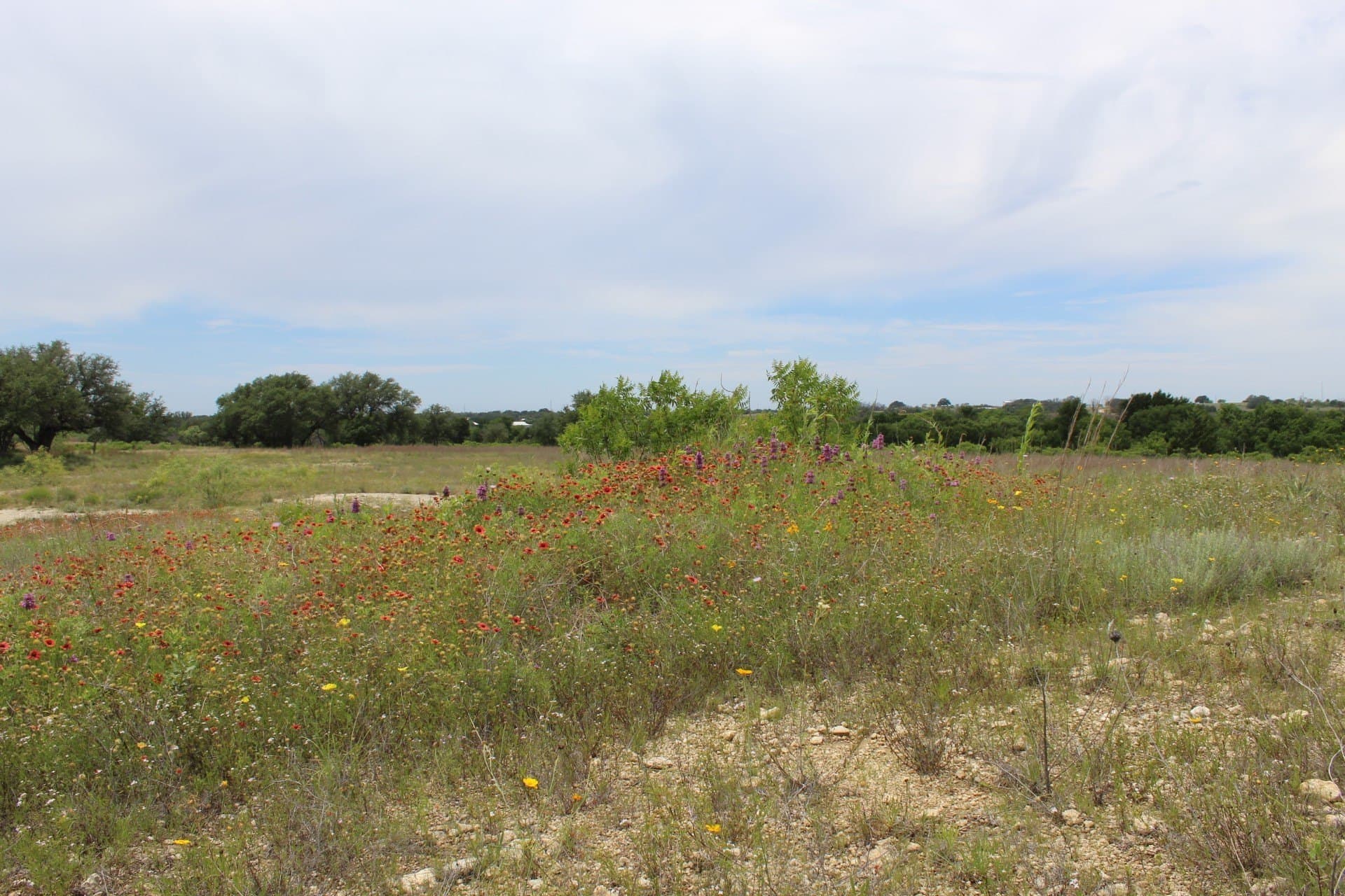 6.39 acres in Comanche County - photo 7