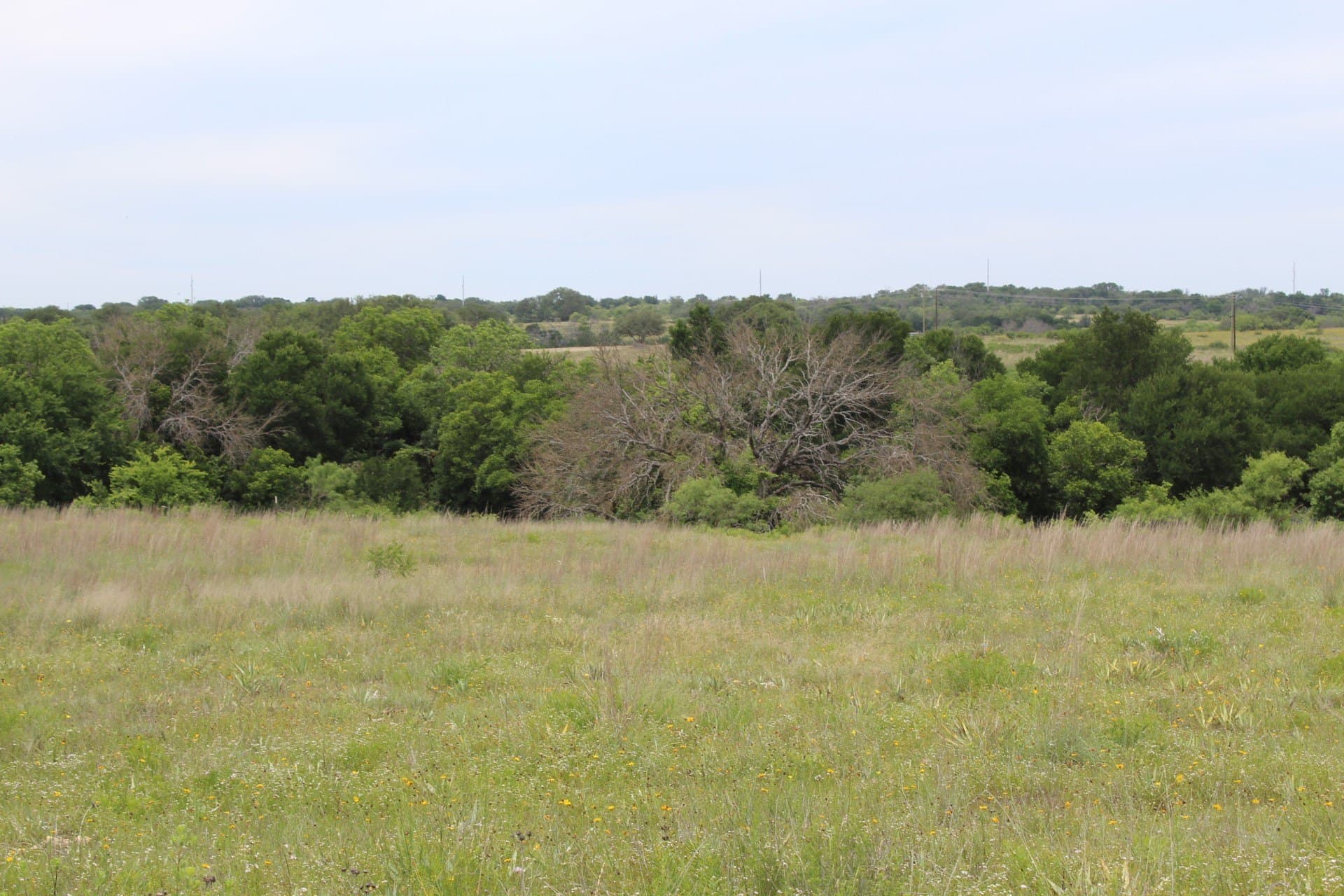 6.39 acres in Comanche County gallery image 3