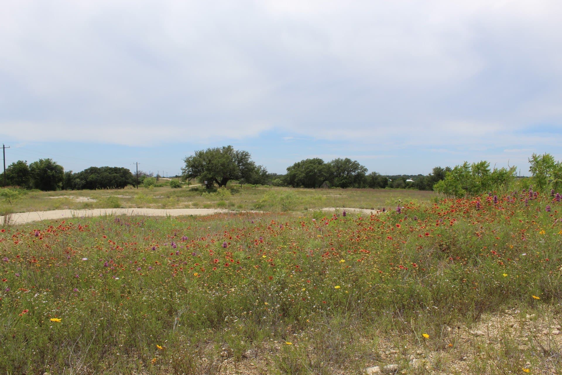 6.39 acres in Comanche County - photo 6