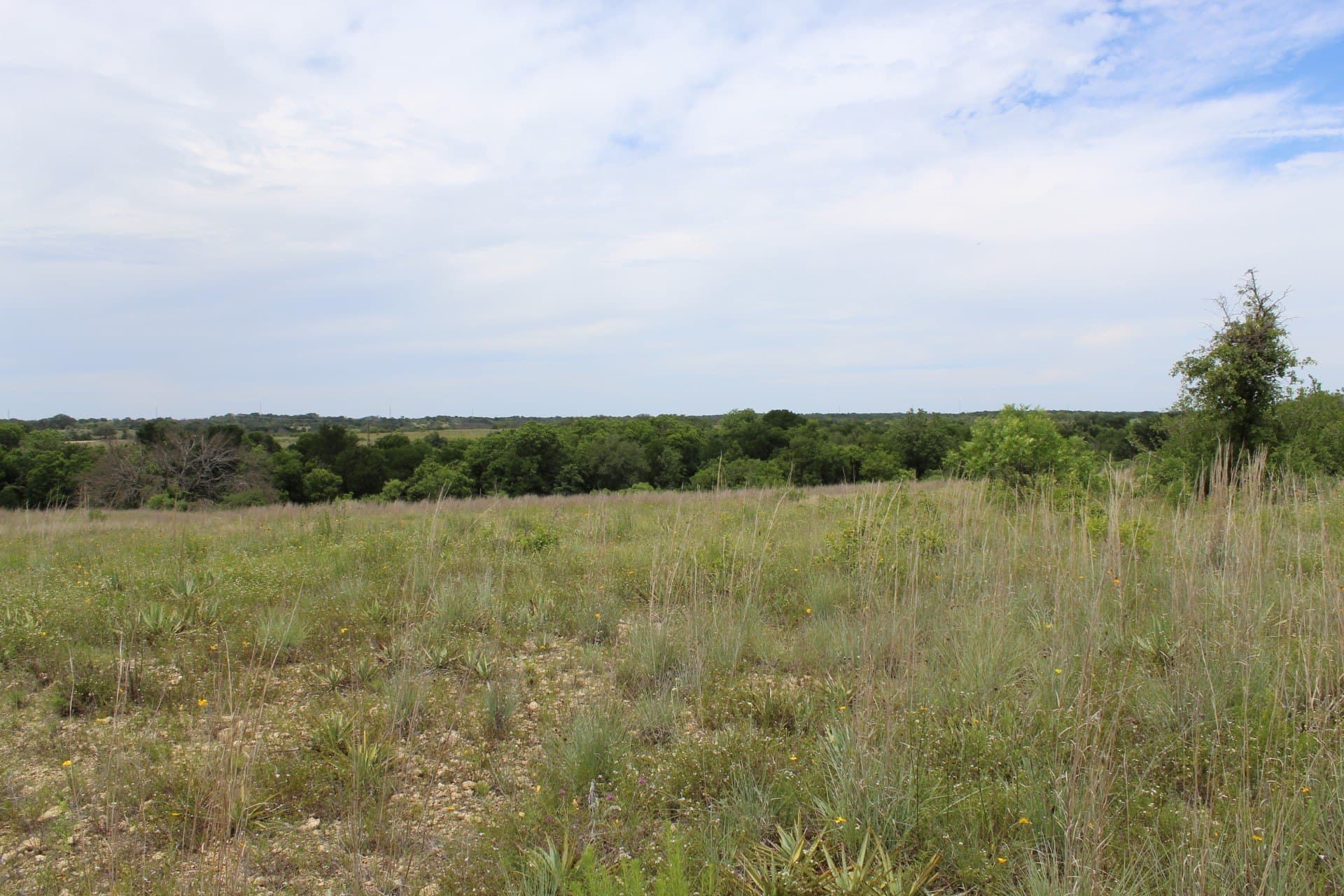 6.39 acres in Comanche County - photo 8