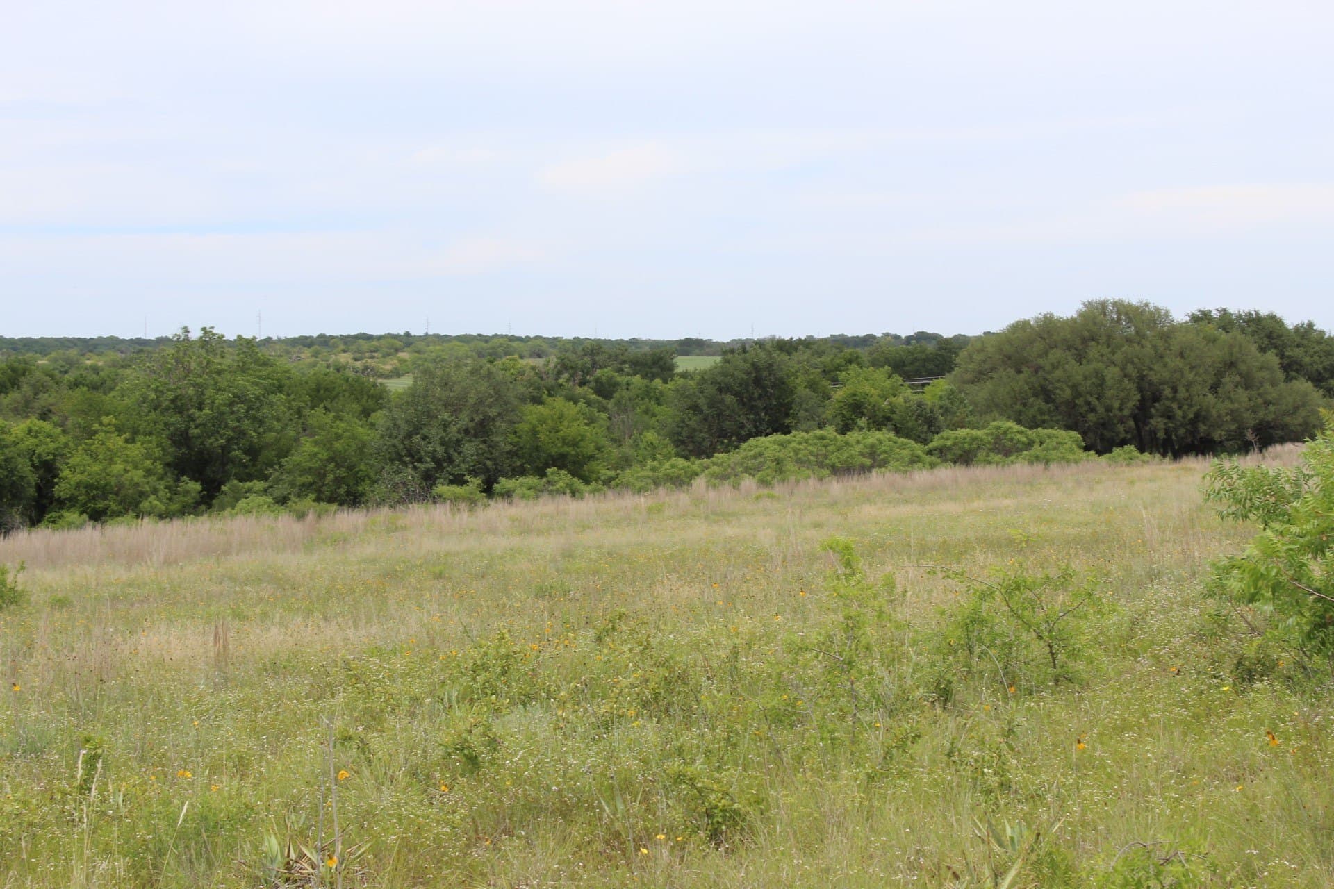 6.39 acres in Comanche County gallery image 4