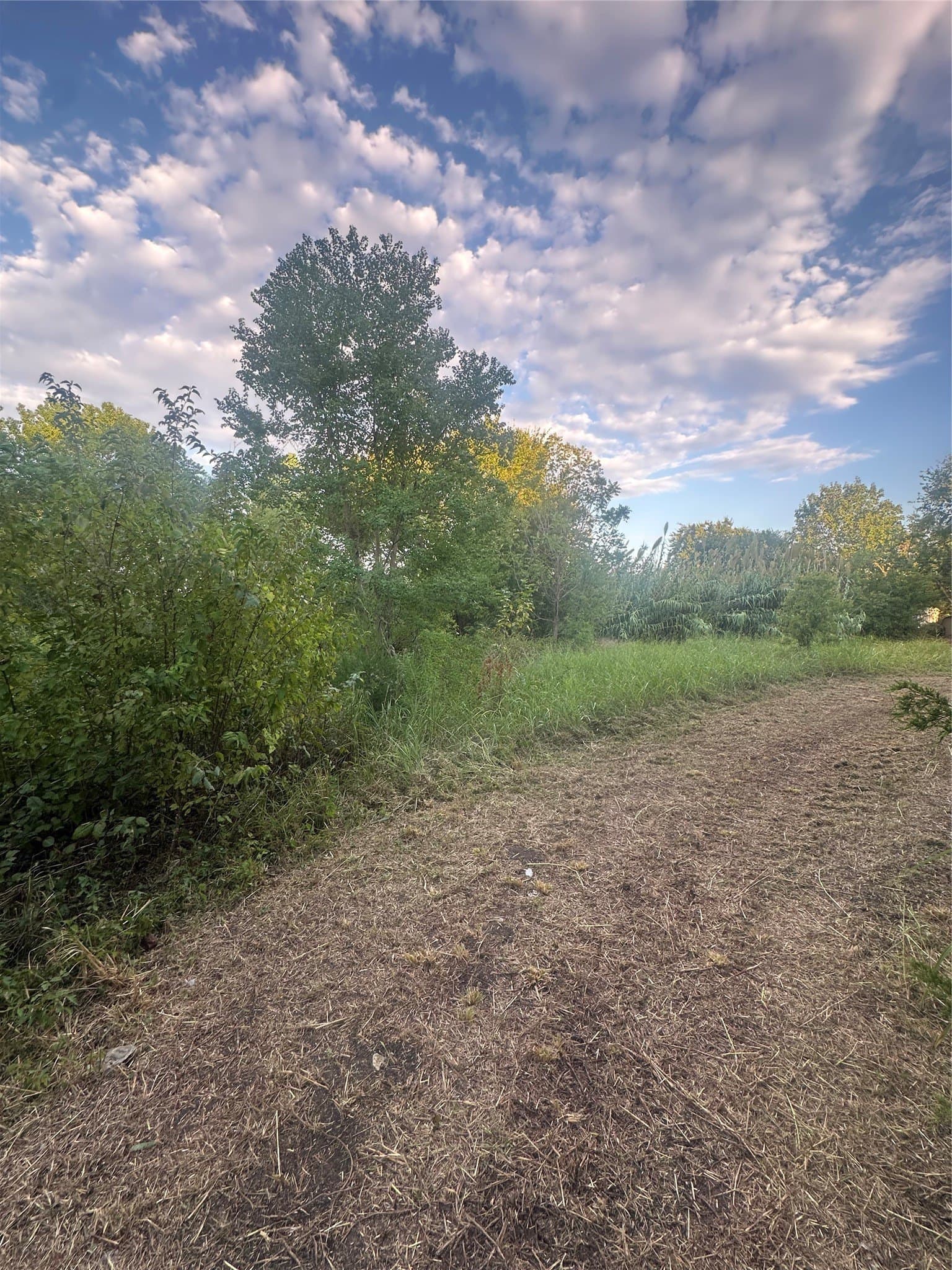 8.35 acres in Ellis County - photo 4