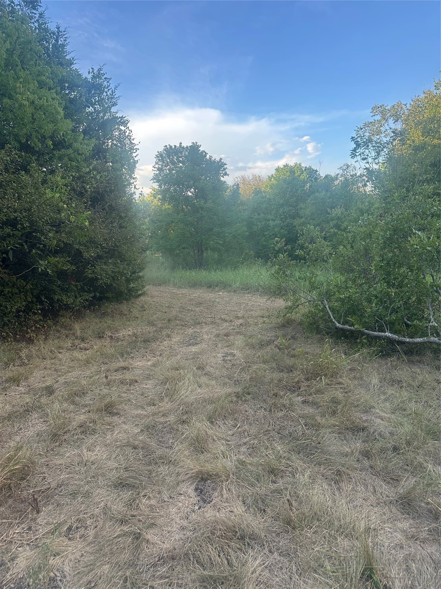 8.35 acres in Ellis County - photo 6