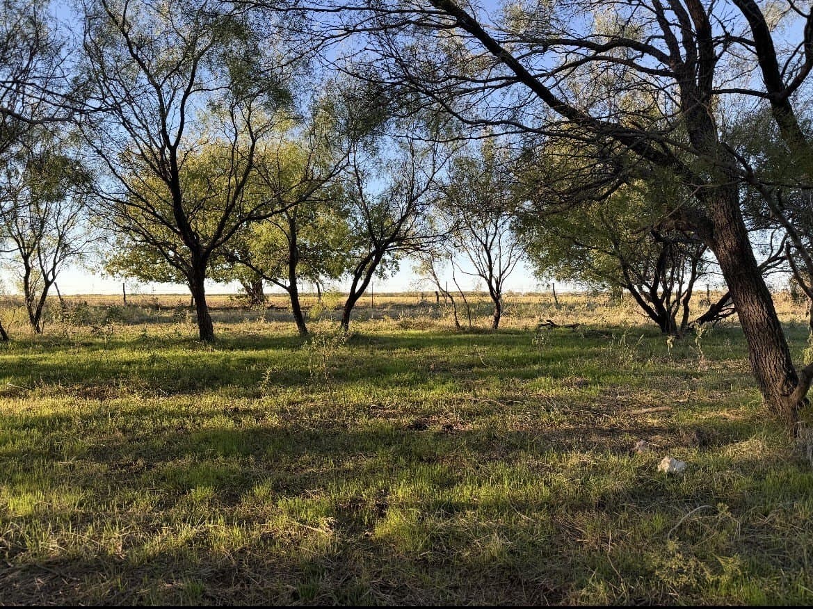 10 acres in Young County - photo 3