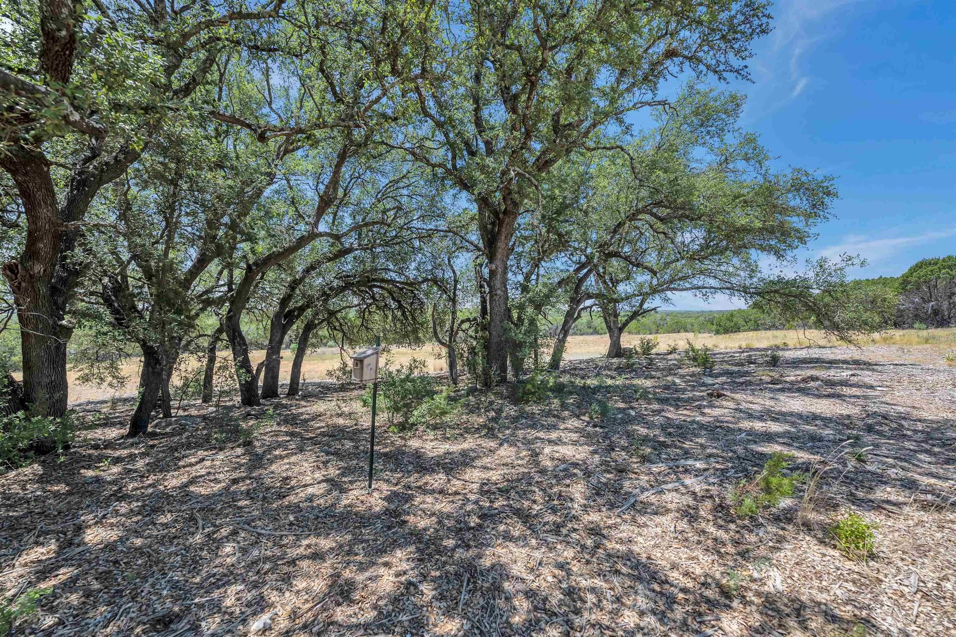54.73 acres in Burnet County gallery image 3