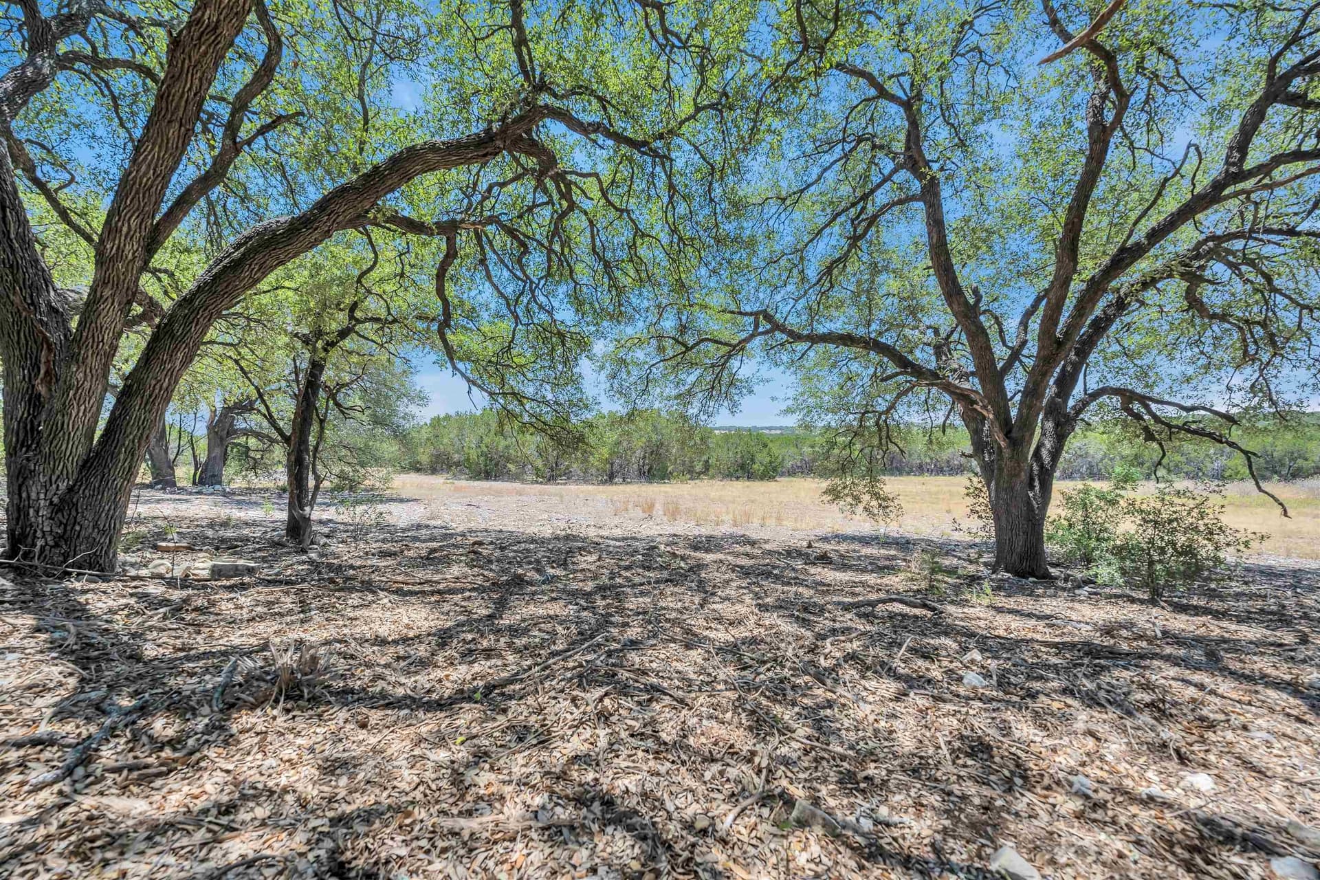 54.73 acres in Burnet County gallery image 4