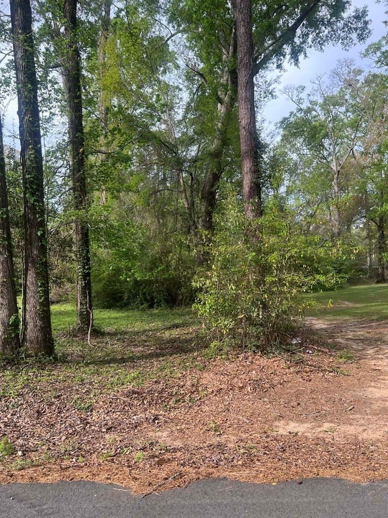 0.57 acres in Texas County gallery image 4