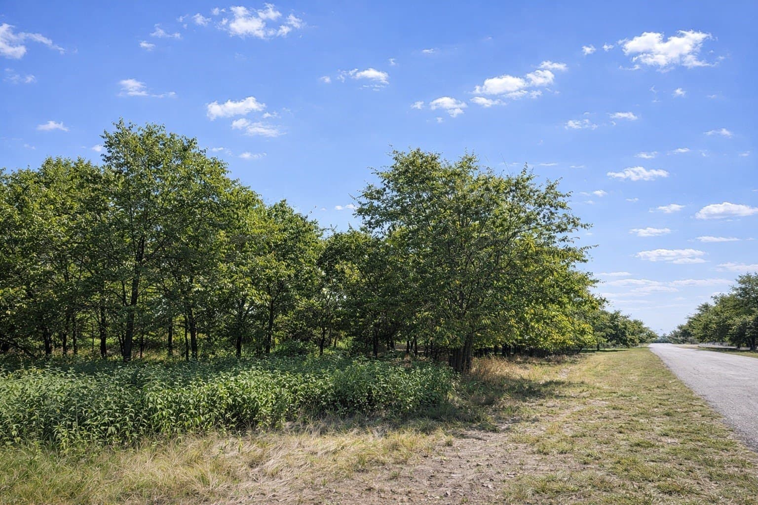 0.77 acres in Tarrant County - photo 2