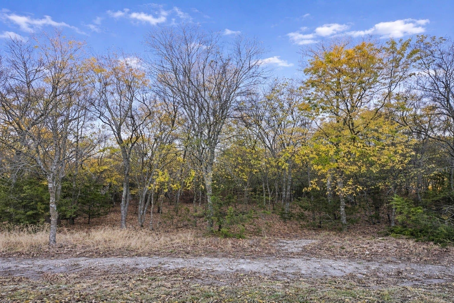 0.77 acres in Tarrant County