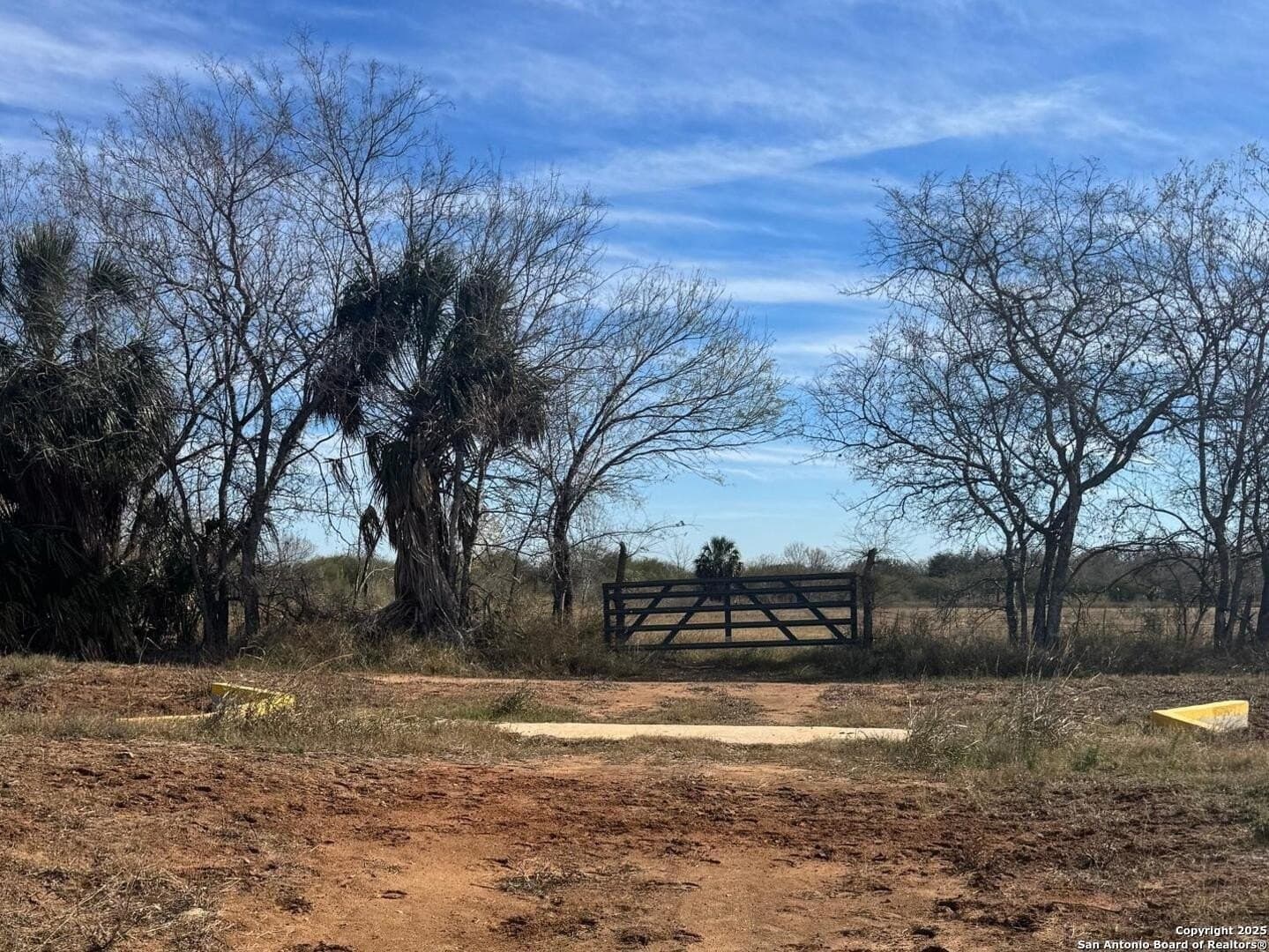 2.5 acres in Bexar County - photo 7