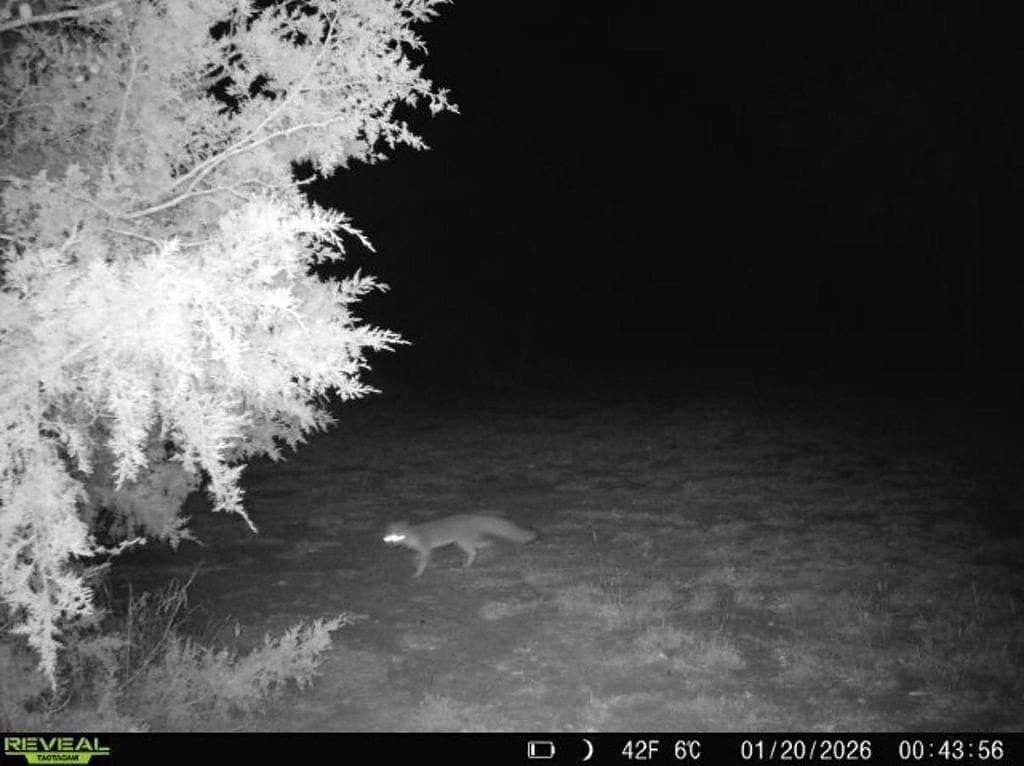 18.12 acres in Fayette County - photo 27
