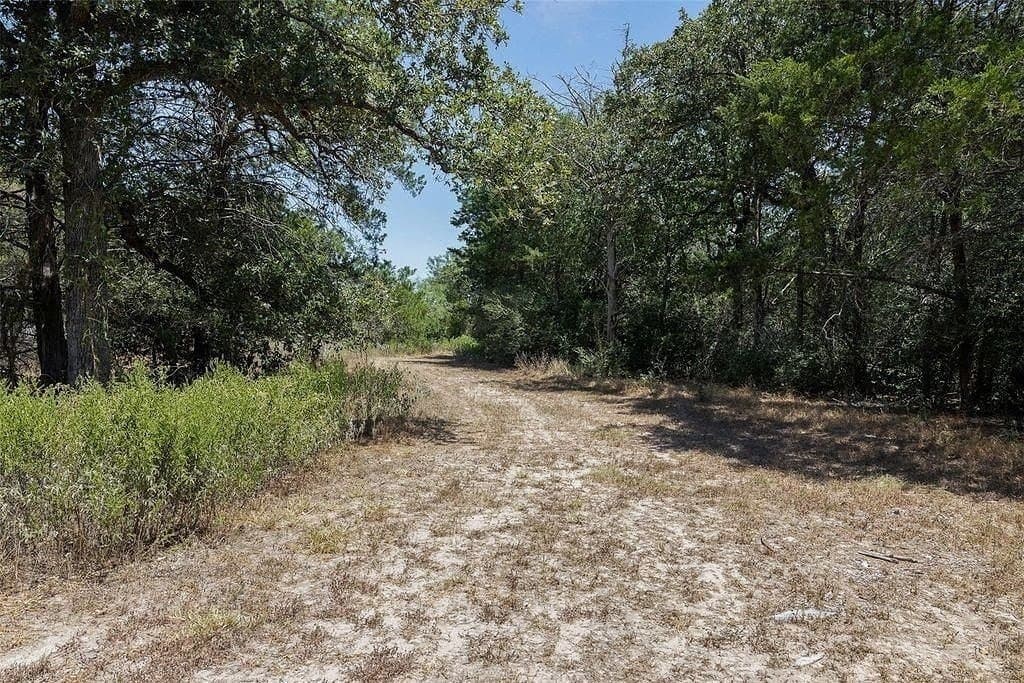 18.12 acres in Fayette County - photo 9