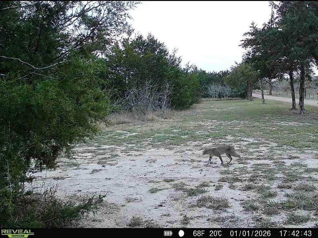 18.12 acres in Fayette County - photo 26