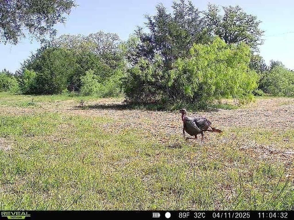 18.12 acres in Fayette County - photo 24