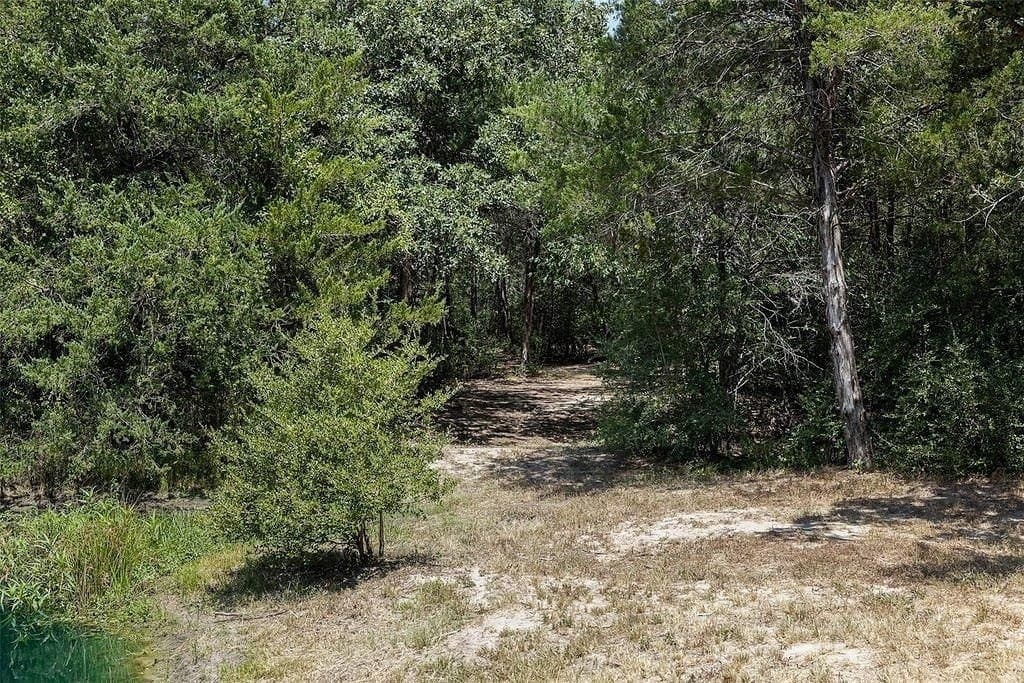18.12 acres in Fayette County - photo 11