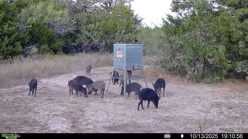 18.12 acres in Fayette County - photo 22