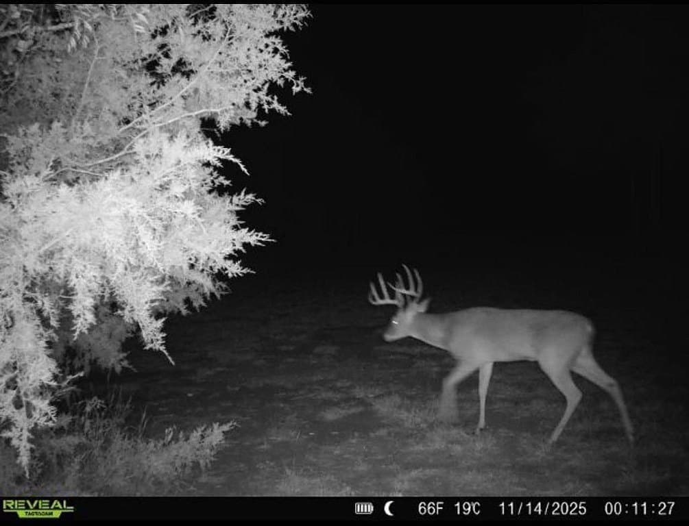 18.12 acres in Fayette County - photo 19