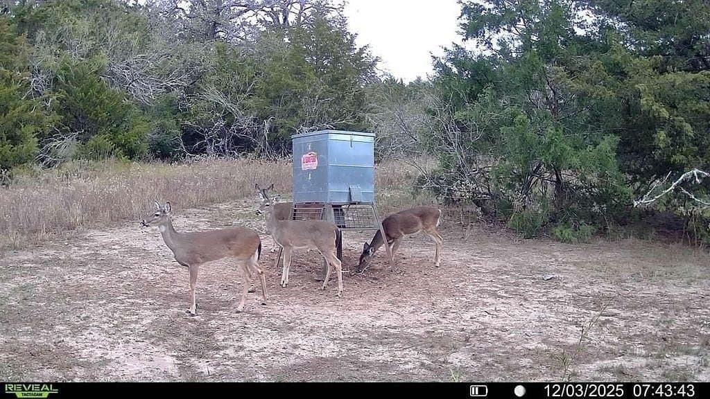 18.12 acres in Fayette County - photo 21