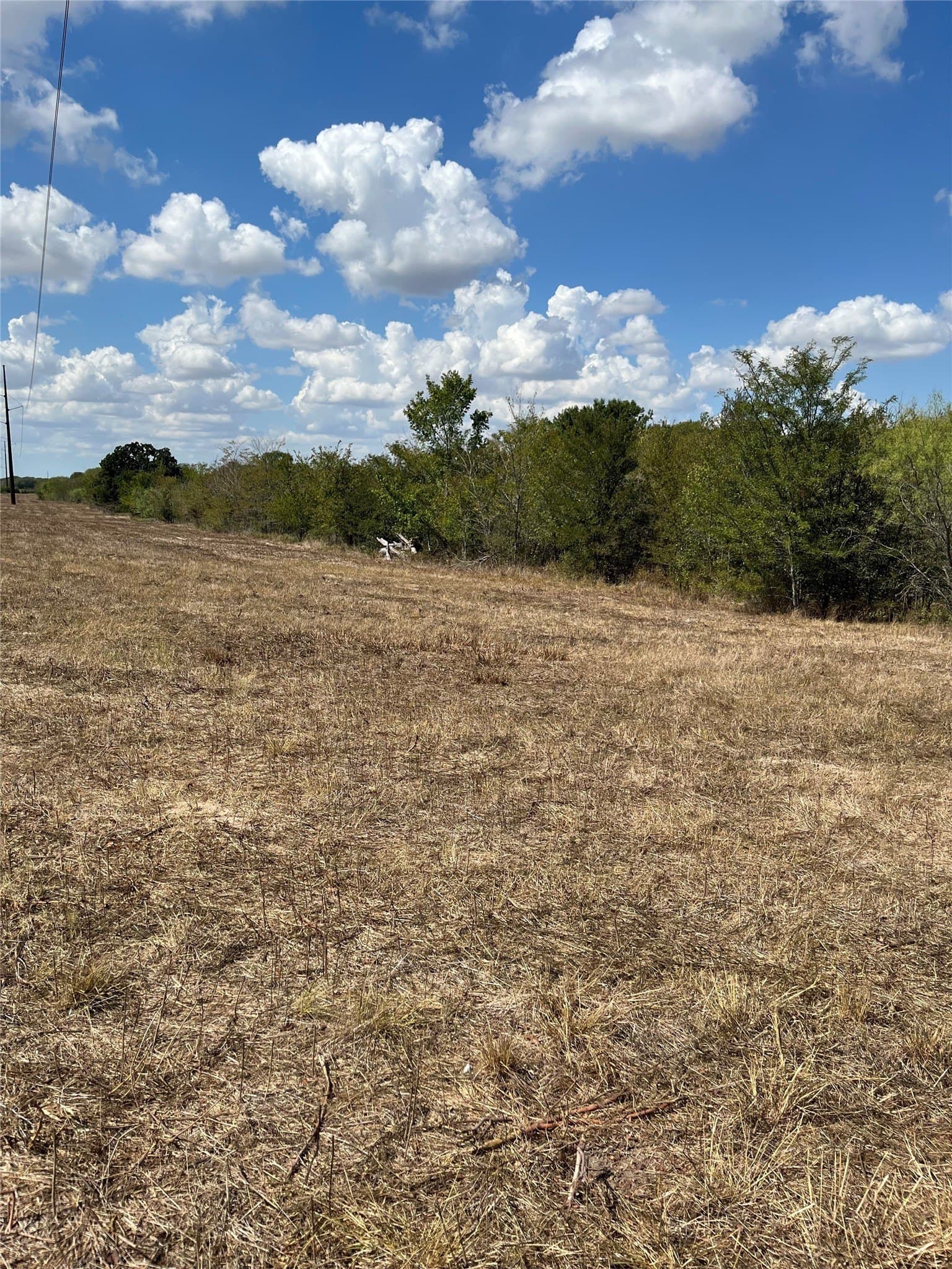 27 acres in Navarro County - photo 30