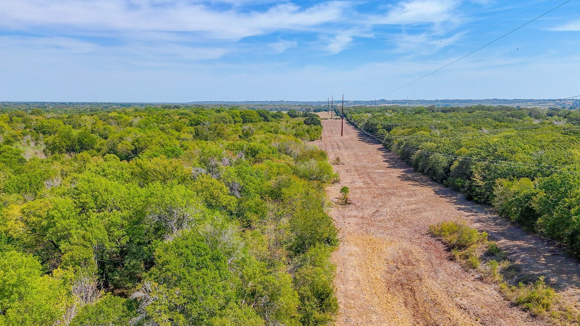 27 acres in Navarro County - photo 23
