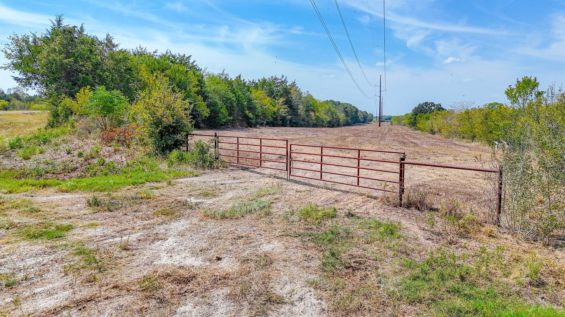 27 acres in Navarro County - photo 27