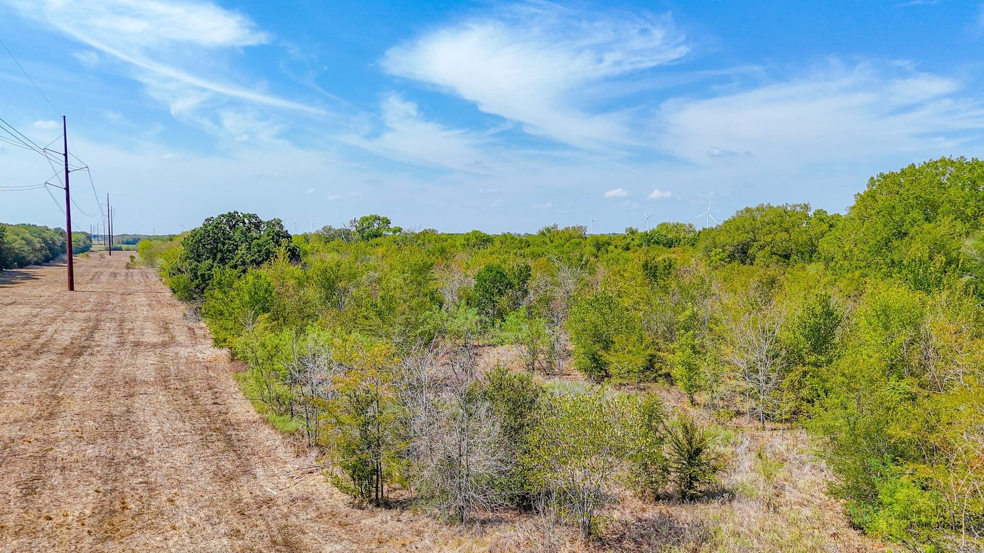 27 acres in Navarro County - photo 19