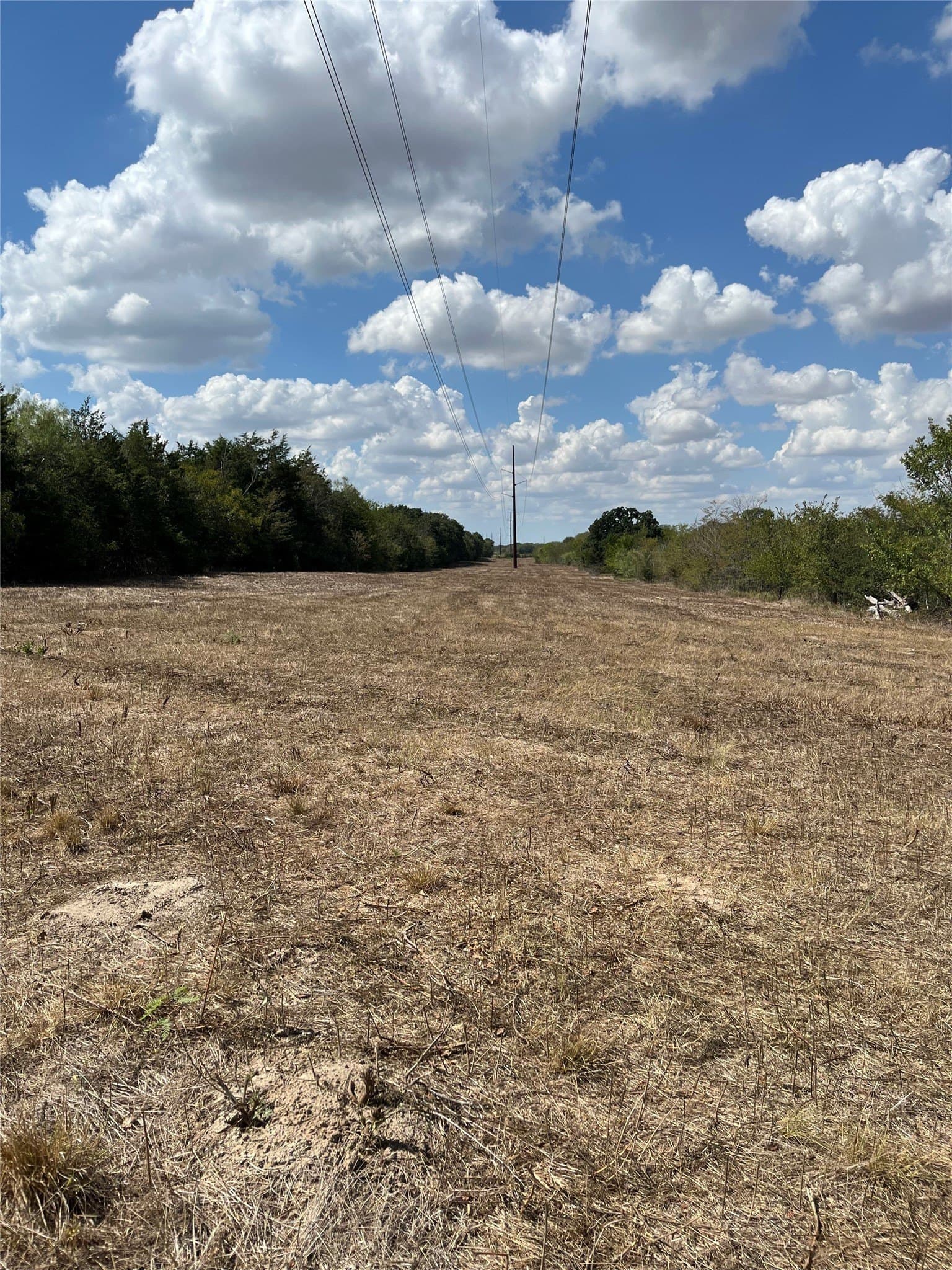 27 acres in Navarro County - photo 33
