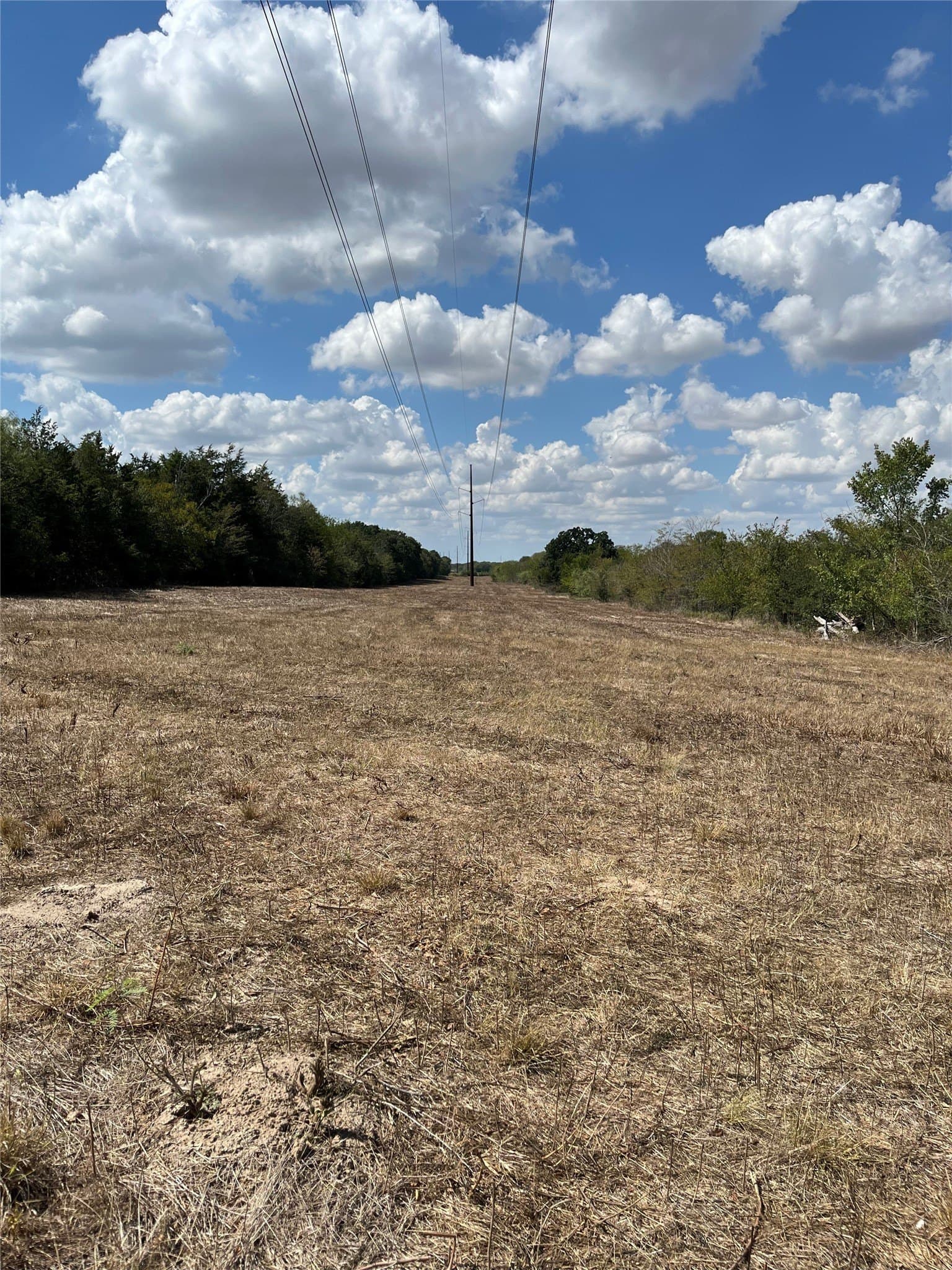 27 acres in Navarro County - photo 29
